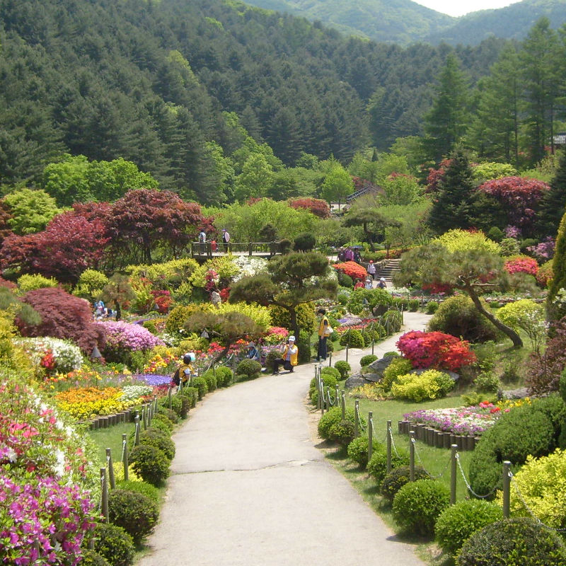 nami island and petite france tour