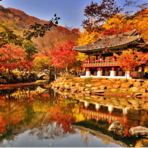 baekyangsa-temple-naejangsan-national-park-fall-foliage