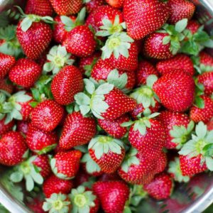 strawberry-picking-korea