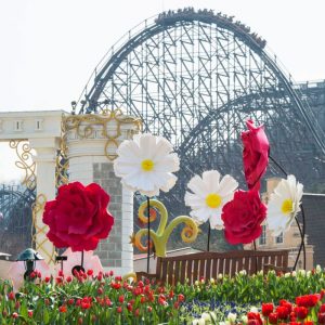 everland-tulip-garden