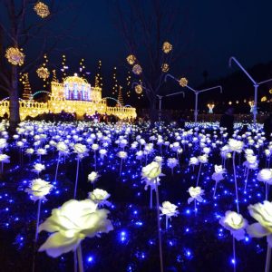 everland-led-flower-garden