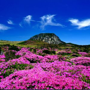 jeju_island_mountain_spring