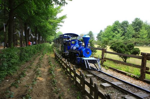 koreatraveleasy-nami-islan-train