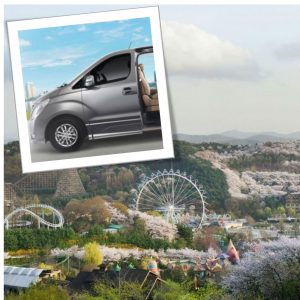 everland-private-van