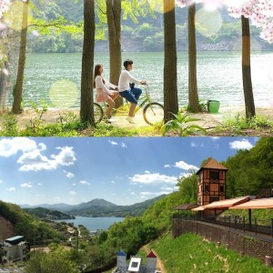 nami-island-petite-france-spring