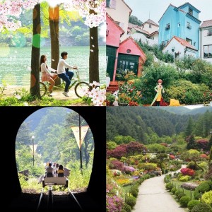 nami-island-ganchon-rail-park-garden-of-morning-calm-petite-france-spring