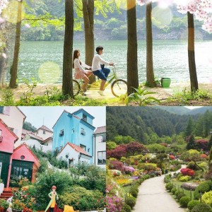 nami-island-petite-france-garden-of-morning-calm-spring