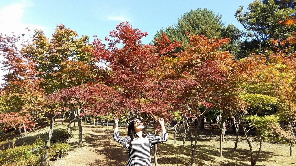 nami island fall faliage 1