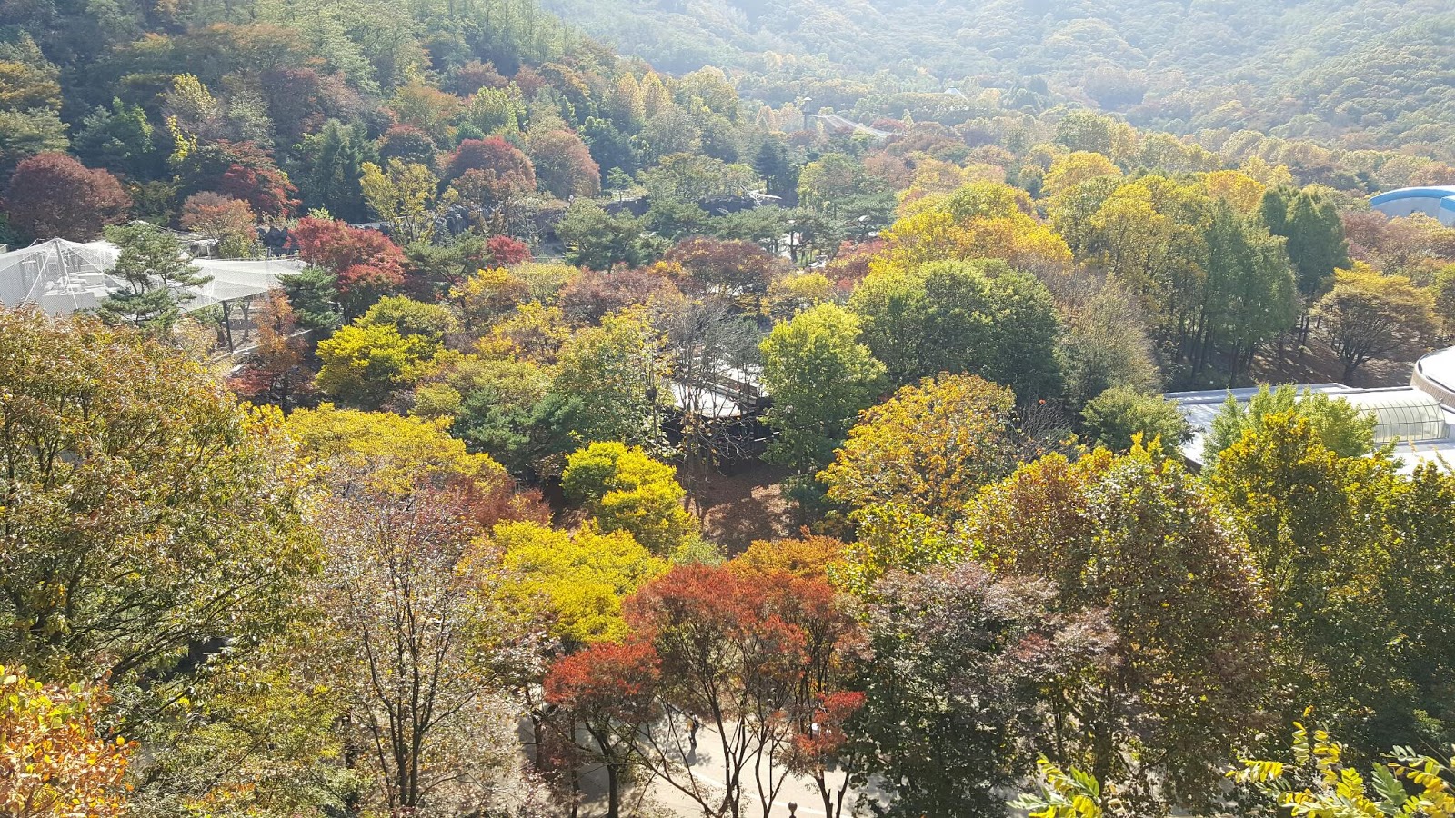 Seoul Grand Park