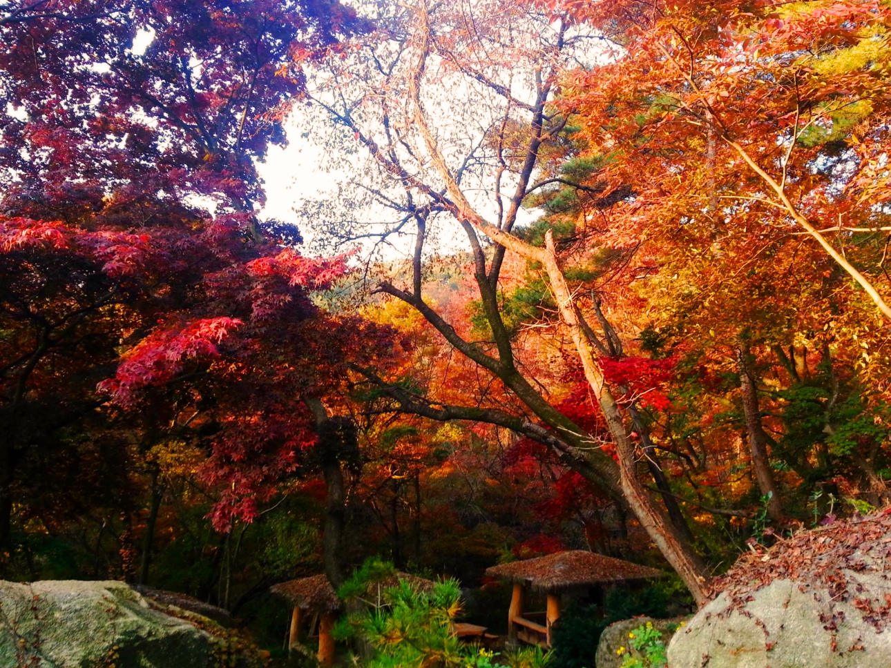 Bukhansan Mountain