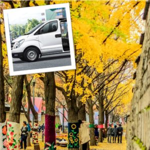Best Fall Foliage Season 1-Day Private Car And Driver Tour In Seoul