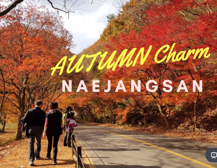 Naejangsan Autumn Charm – Why you Must Visit Fall Foliage When in Korea | KoreaTravelEasy