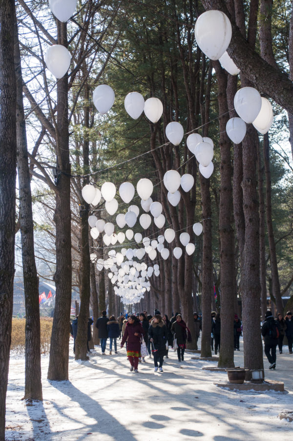 Strawberry Picking Farm, Nami island and Petite France all in one day