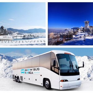 Alpensia Yongpyong Shuttle Bus