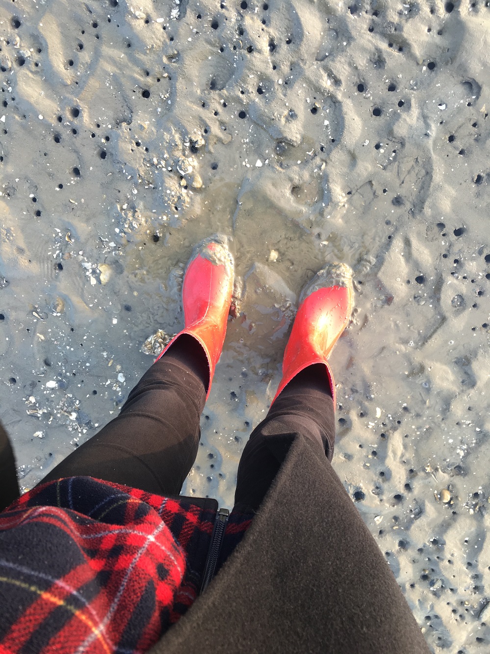 boryeong-deacheon-beach-mud-flat-flats