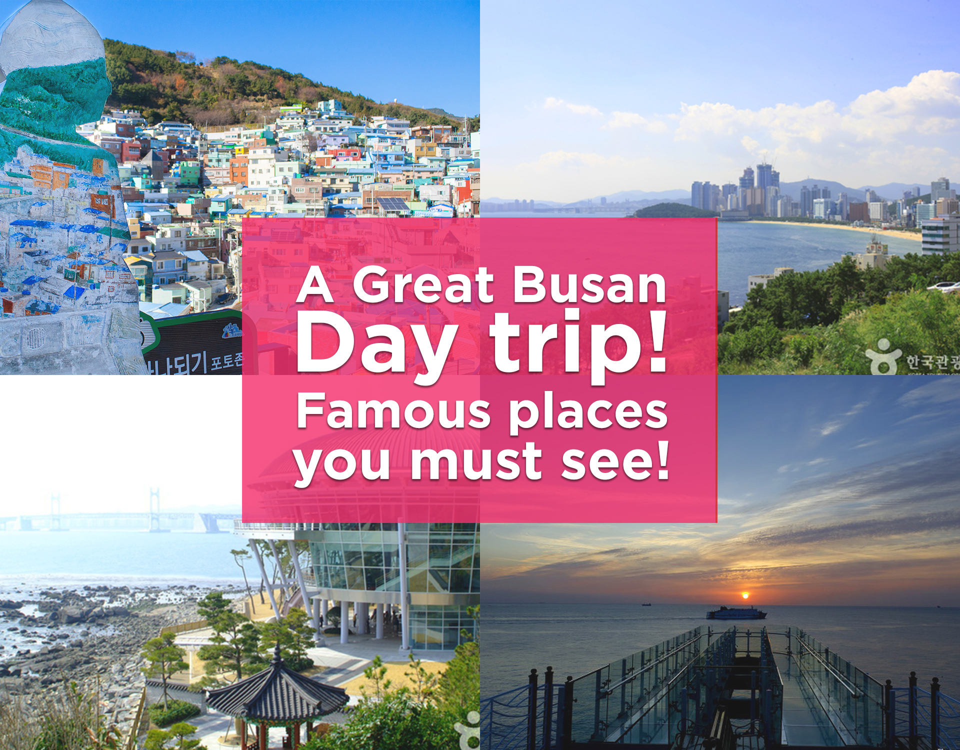 korean busan trip