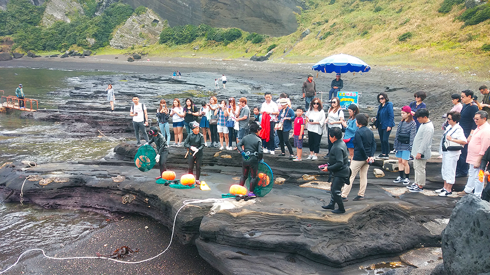 women-diver-show-jeju-island