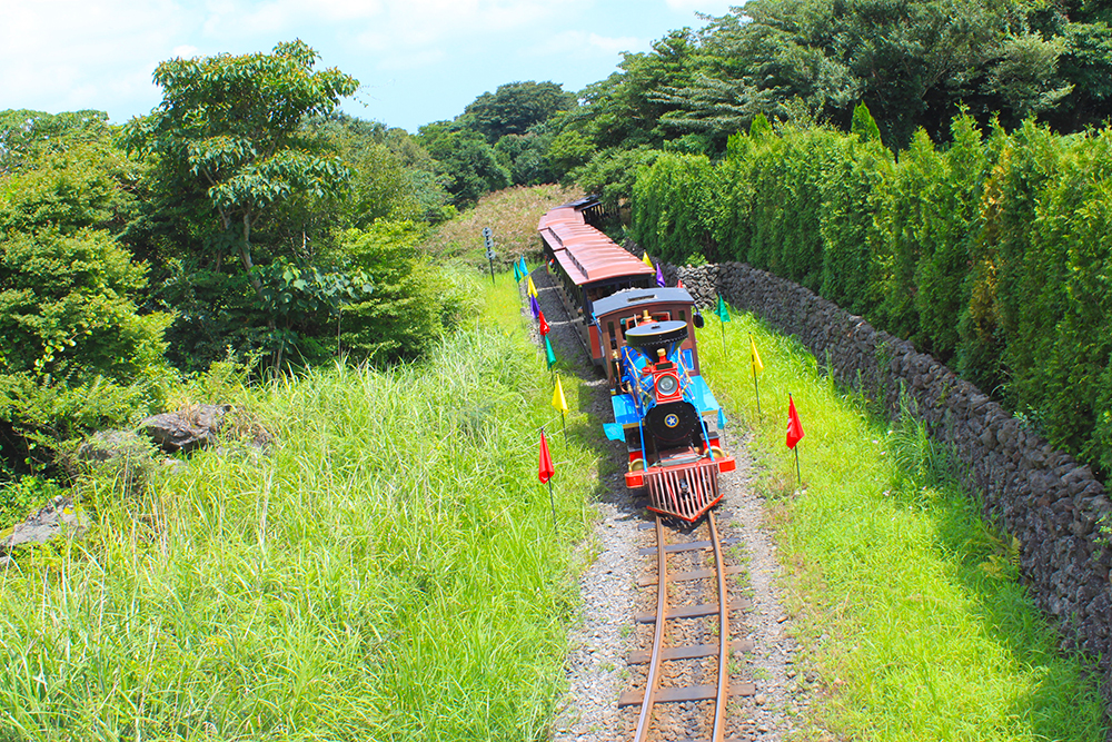 eco-land-train-jeju-island