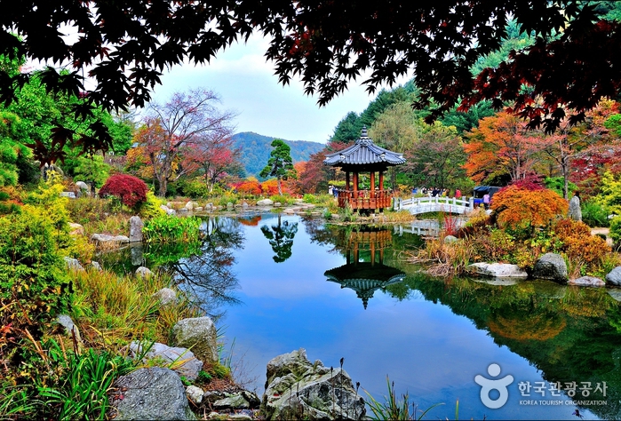 garden-of-morning-calm-lake-colorful