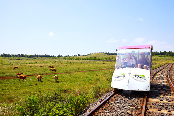 jeju railbike