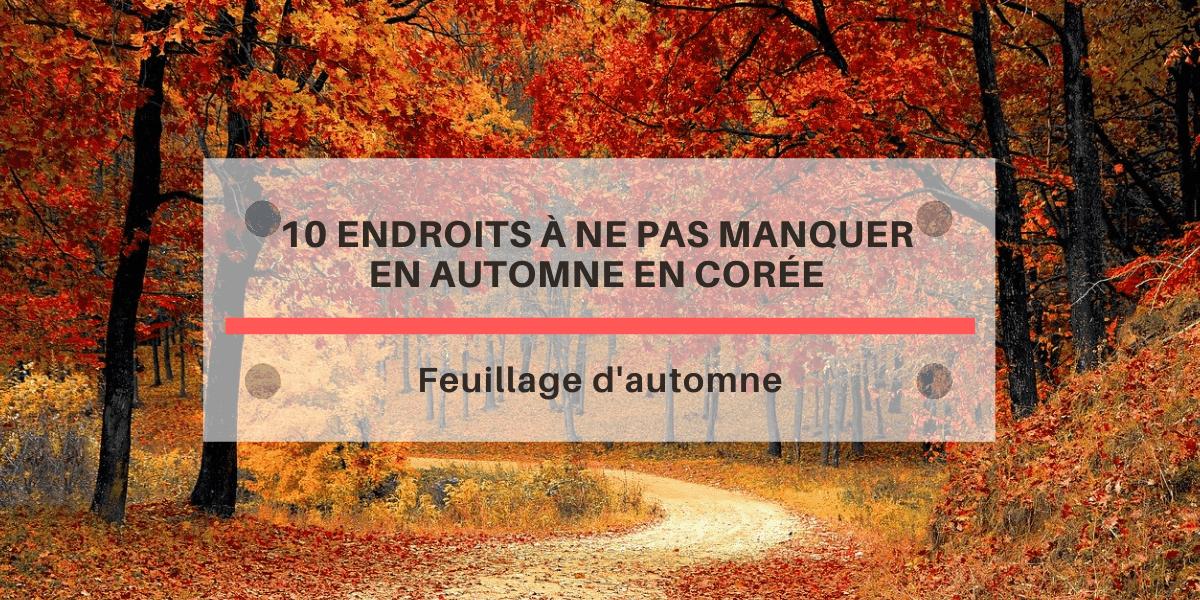 10-endroits-a-ne-pas-manquer-en-automne-en-coree