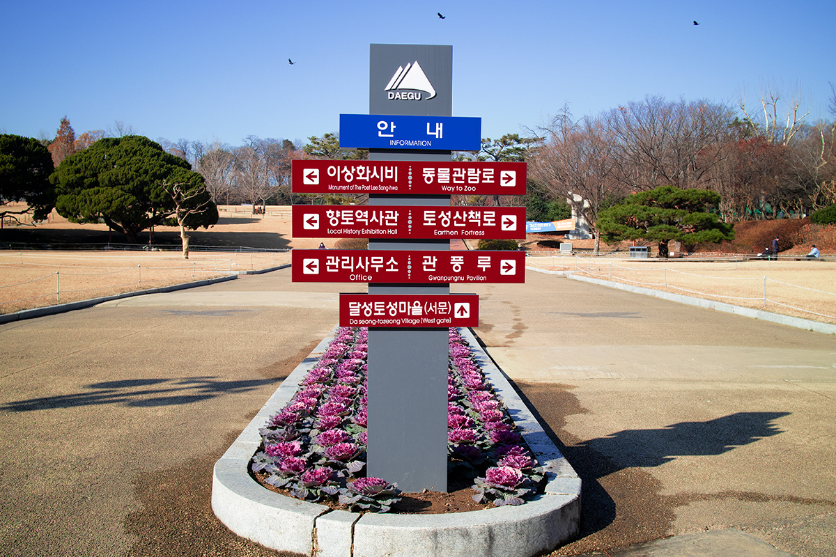 Dalseong Park (BTS V Tour)2