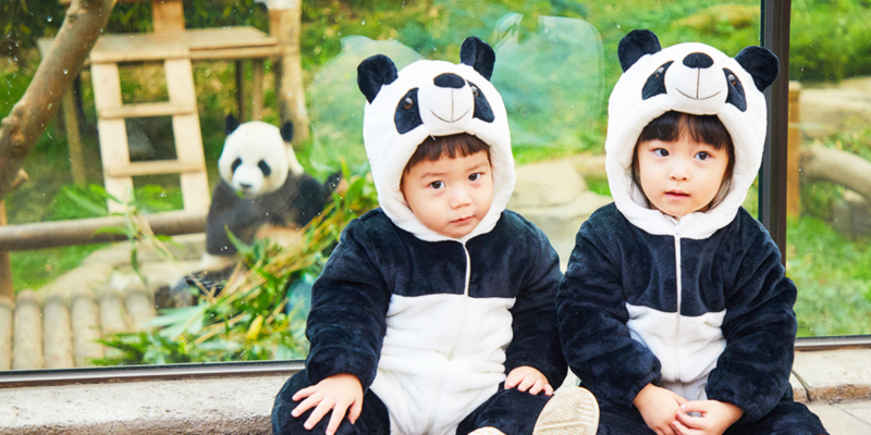 Everland - Panda World