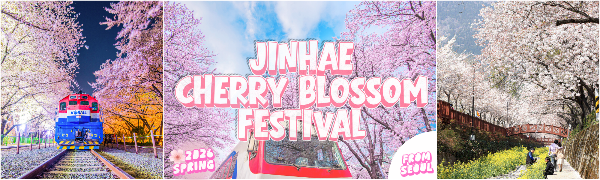 2026 Jinhae Cherry Blossom Festival 1 Day Tour From Seoul (Mar 23 to Apr 12) | KoreaTravelEasy