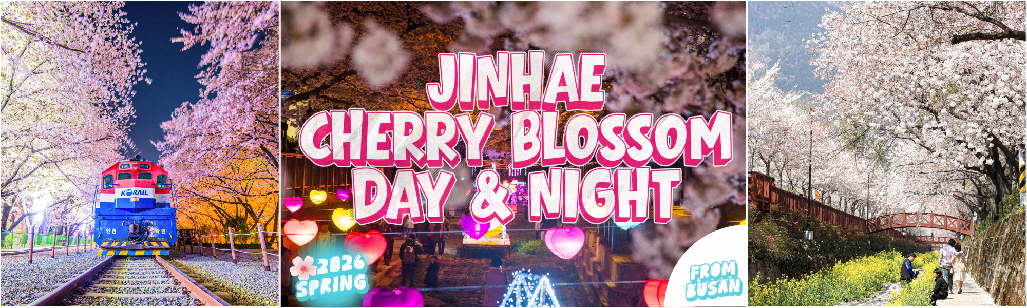 2026 Jinhae Cherry Blossom Festival Day and Night Bus Day Tour from Busan (Mar 23 – Apr 12) | KoreaTravelEasy