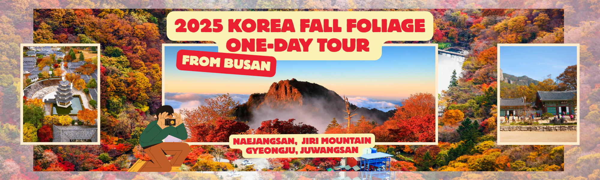 2025 Korea Fall Foliage one day tour from Busan(26 Oct ~ 23 Nov)- Naejangsan, Jiri Mountain, Gyeongju and Juwangsan the best autumn national park | KoreaTravelEasy