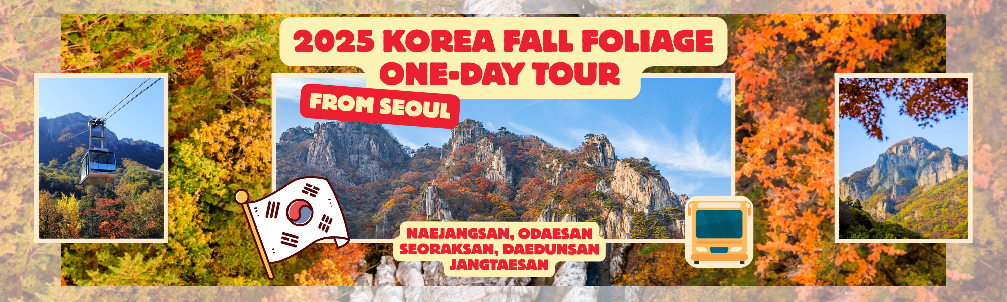 2025 Korea Fall Foliage one day tour from Seoul (14 Oct ~ 26 Nov) – Naejangsan, Odaesan, Seoraksan, Daedunsan and Jangtaesan the best autumn maple mountain national park | KoreaTravelEasy
