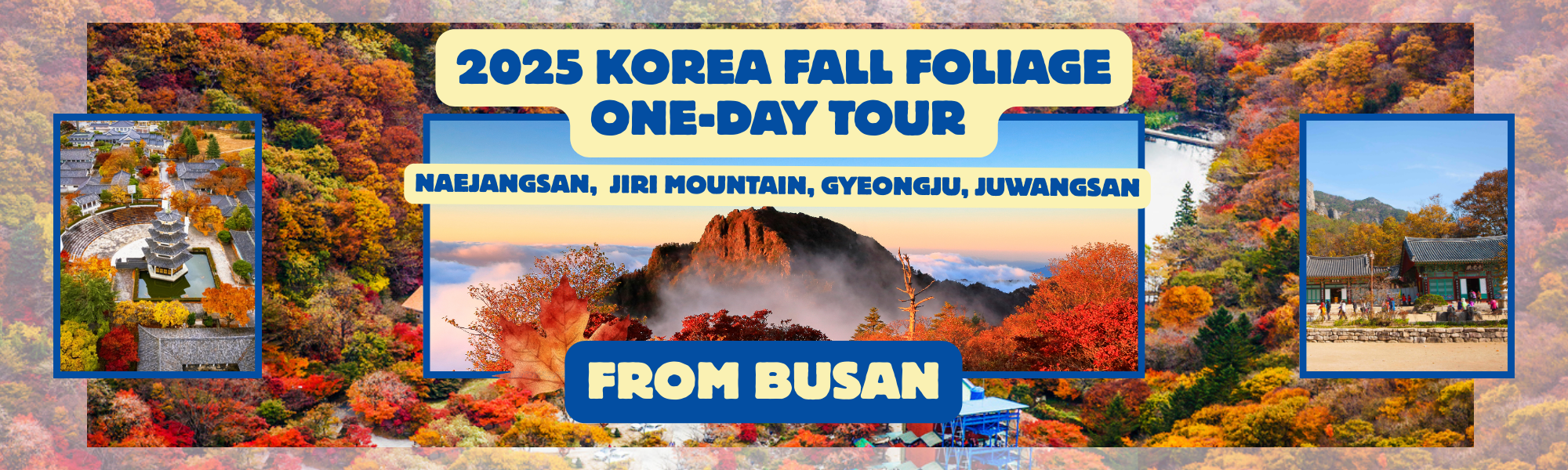 2025 Korea Fall Foliage one day tour from Busan(26 Oct ~ 23 Nov)- Naejangsan, Jiri Mountain, Gyeongju and Juwangsan the best autumn national park | KoreaTravelEasy
