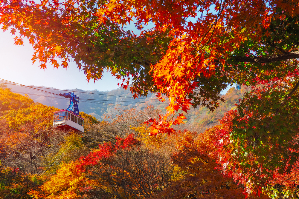 Naejangsan View 1
