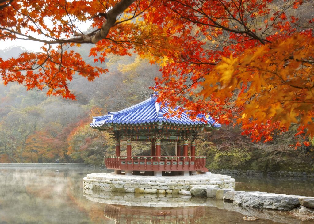 Naejangsan maple leaves