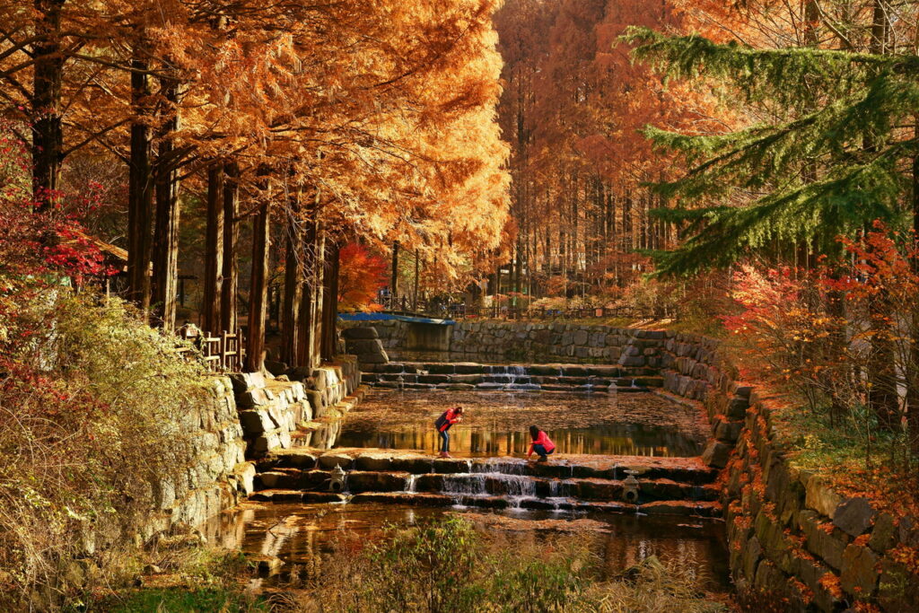 Autumn forest at Jangtaesan