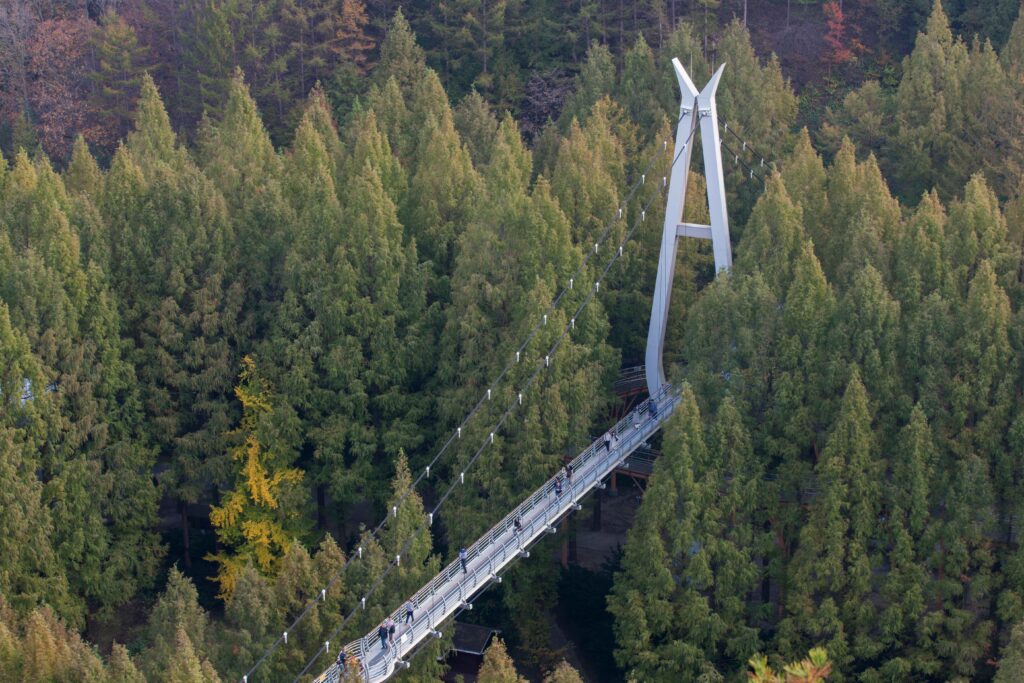 Jangtaesan Recreational Forest in autumn