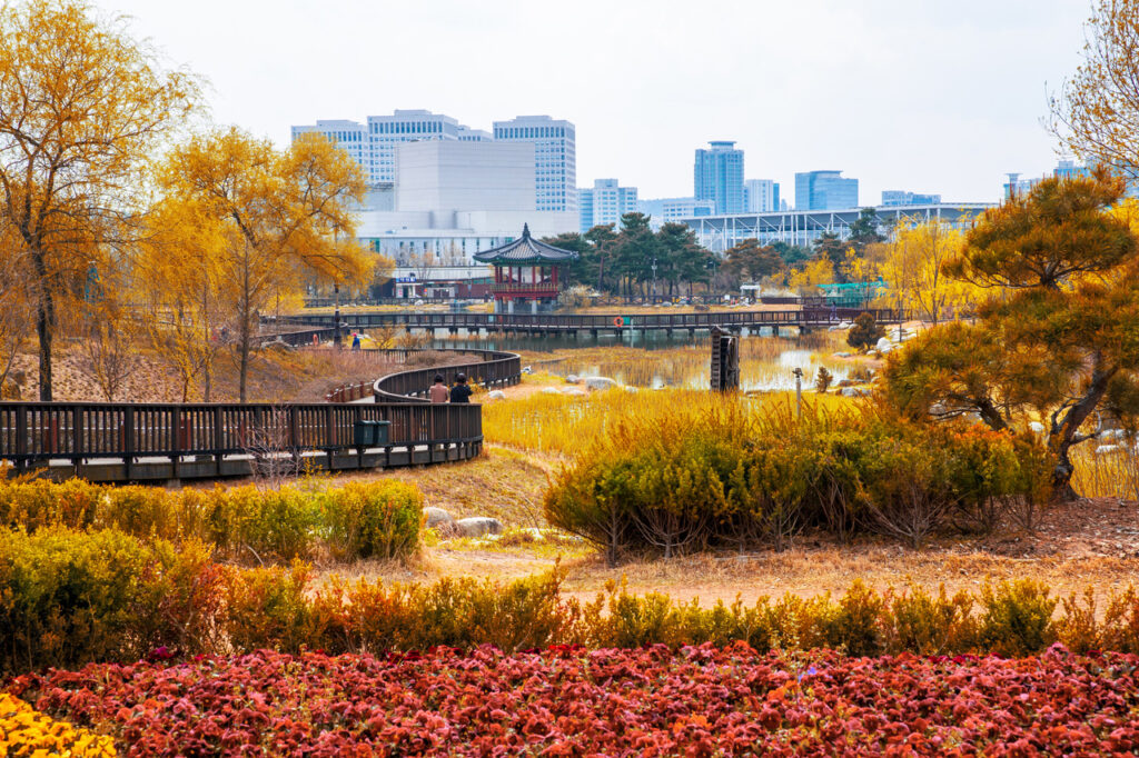 Fall foliage at Hanbat Arboretum