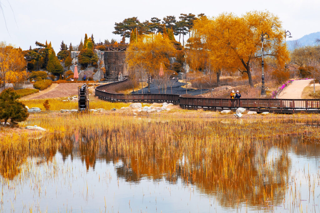 Autumn scenery at Hanbat Arboretum