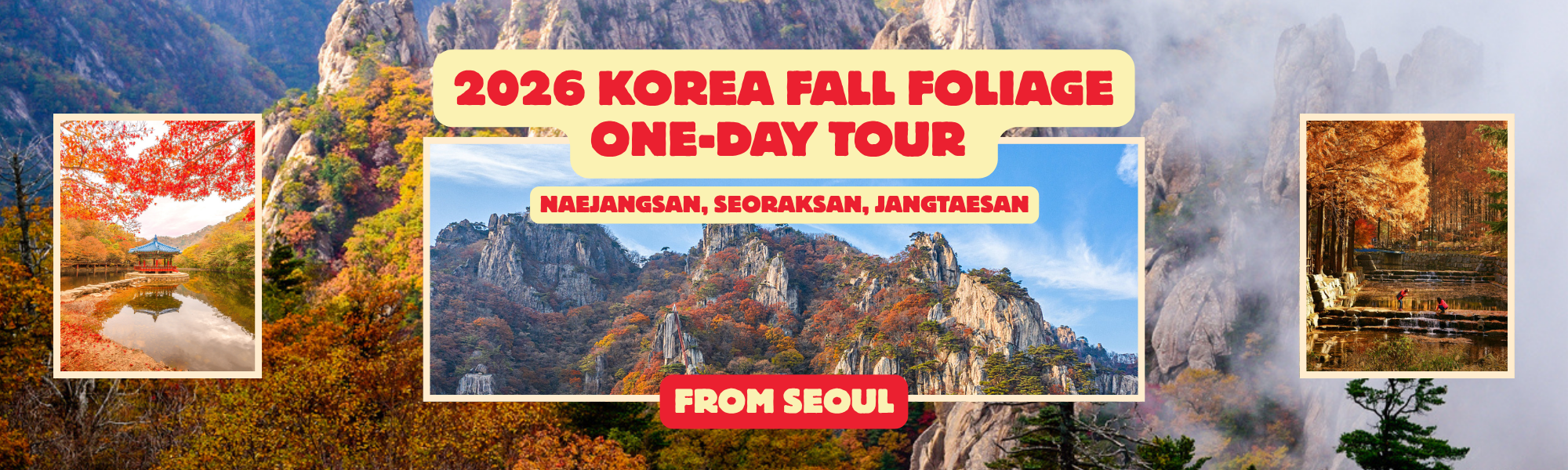 2026 Korea Fall Foliage one day tour from Seoul (28 Oct ~ 27 Nov) – Seoraksan, Naejangsan, Jangtaesan | KoreaTravelEasy