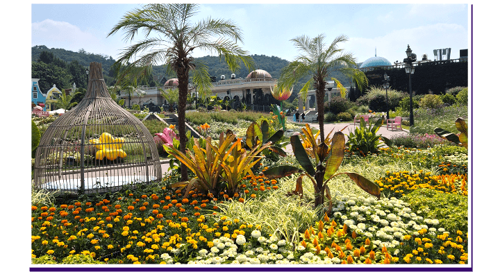 Summer Garden