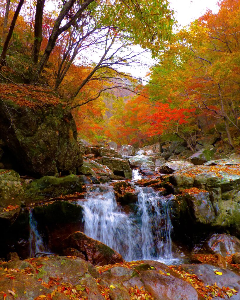 Jirisan Nature 1