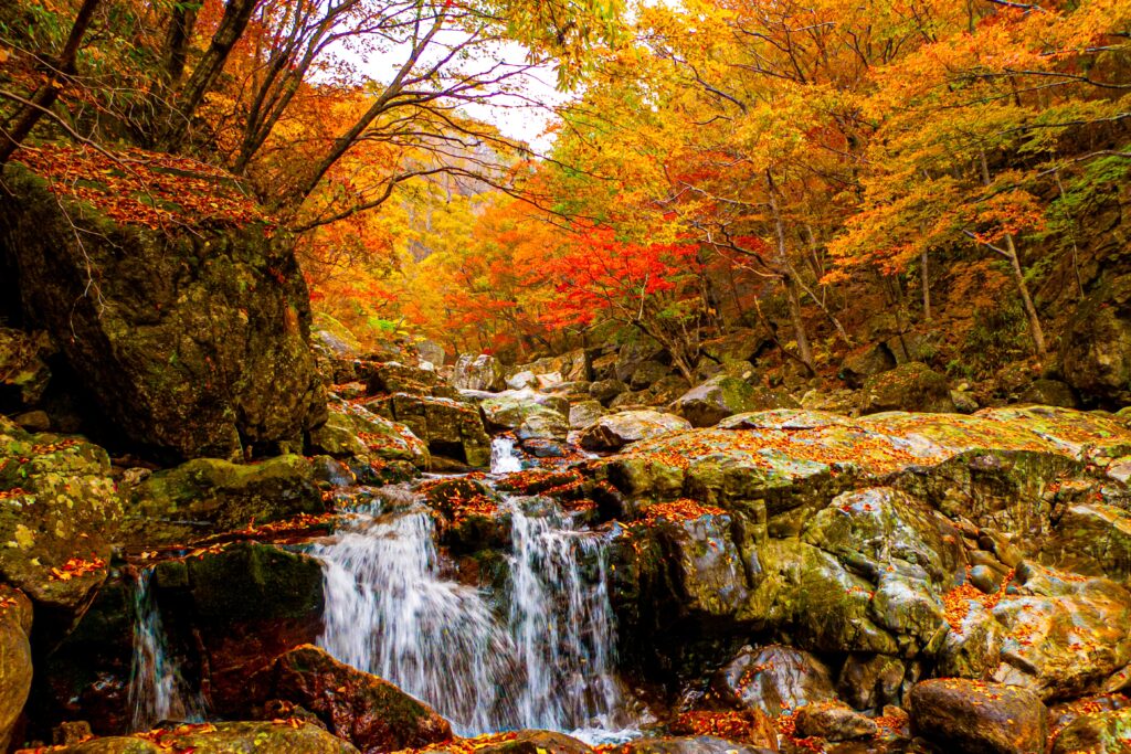 Jirisan Nature 2