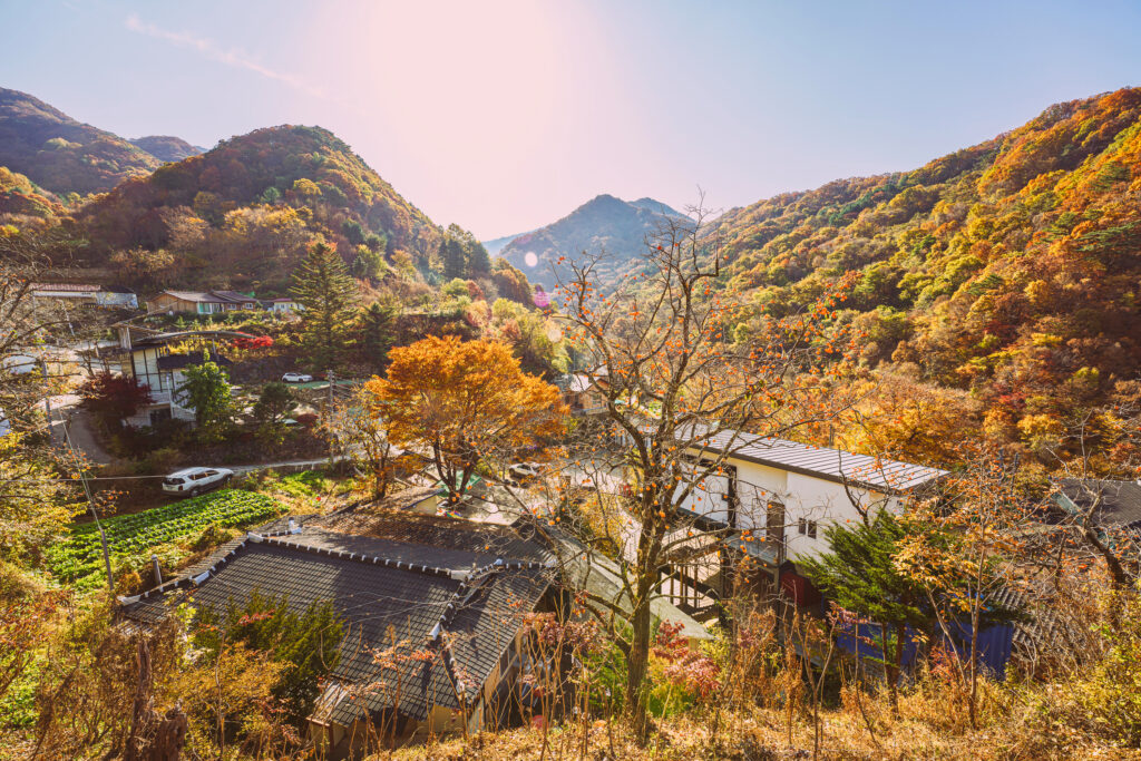 Jirisan Nature 3