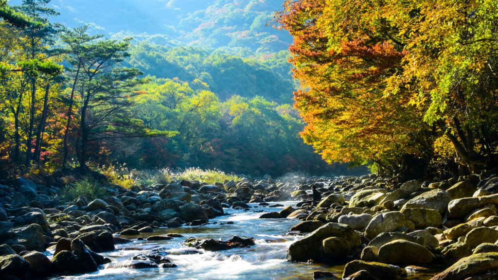 Baemsagol Valley 2