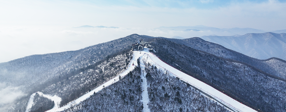 Purple Ski Shuttle to Mona Yongpyong Resort