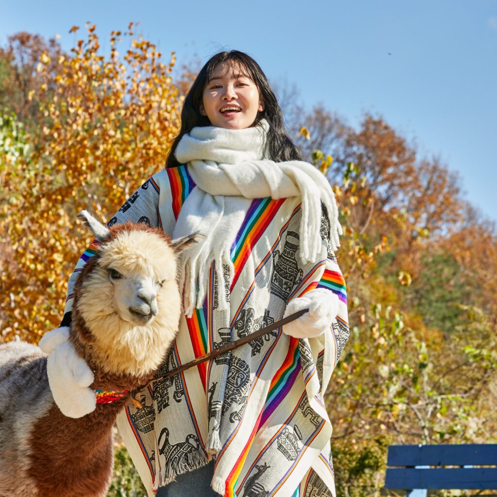 Alpaca World 6