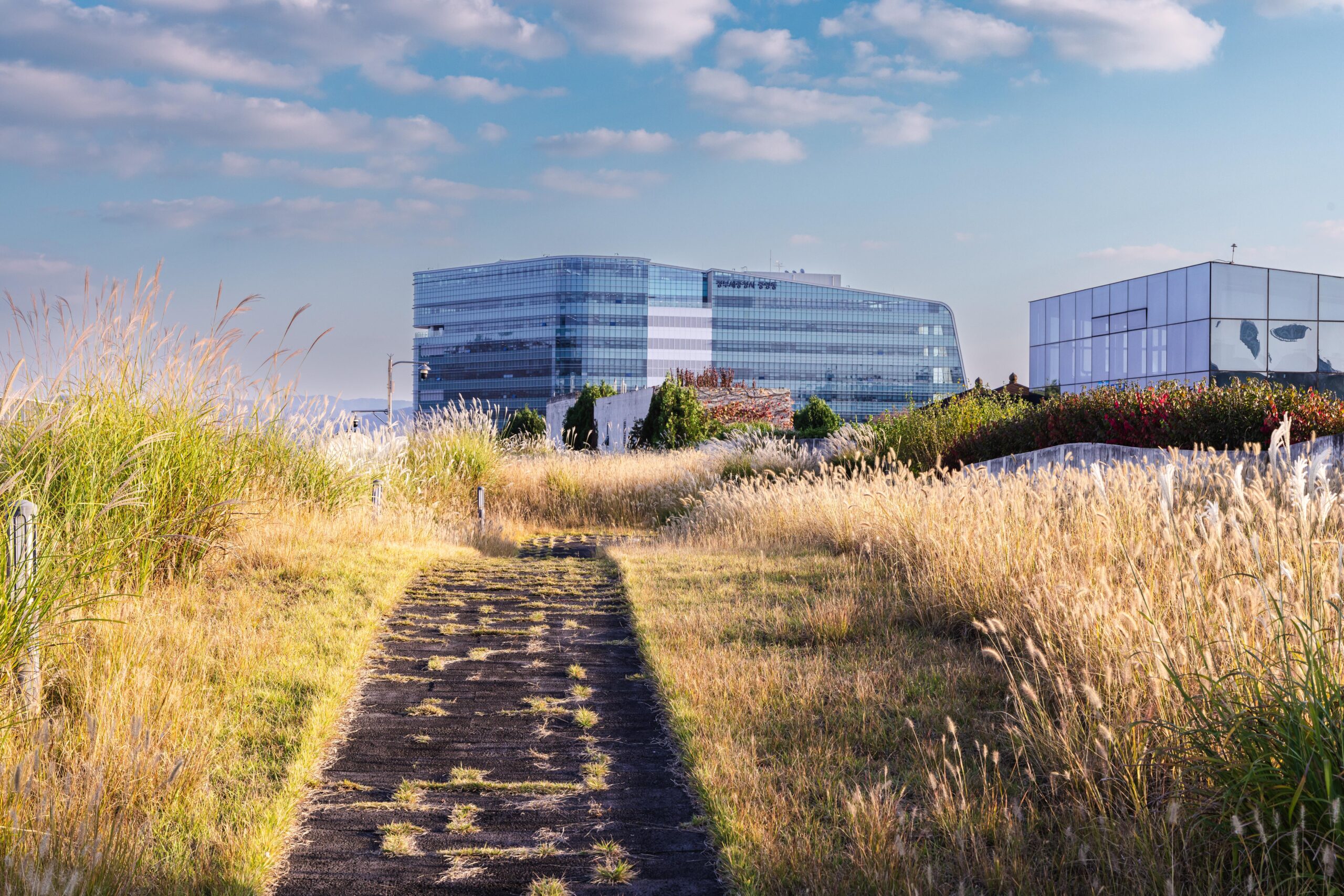 Landscaped walking path at Government Complex Sejong Rooftop Garden