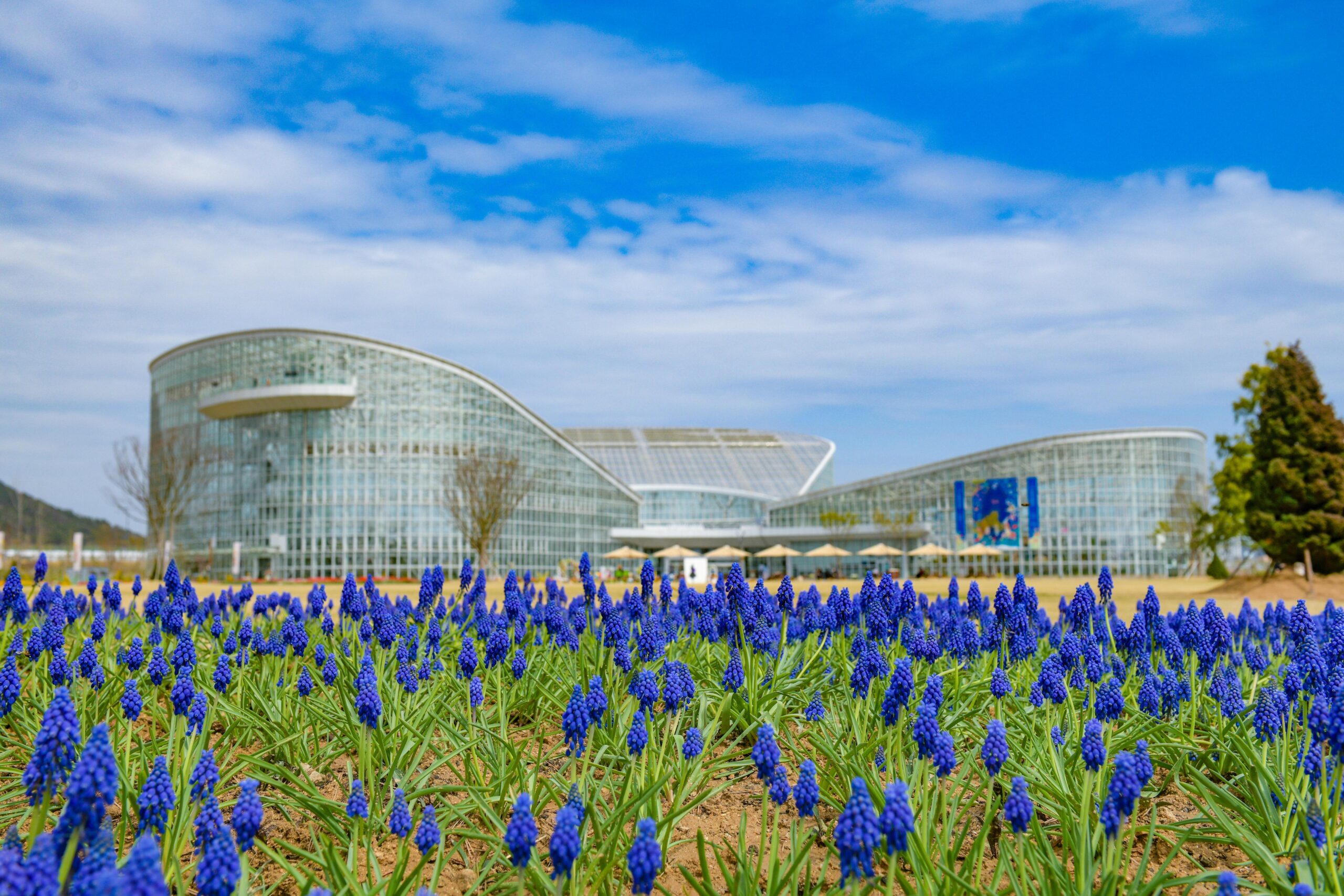 Lush indoor garden at the National Sejong Arboretum