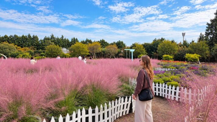 Hueree pink muhly garden
