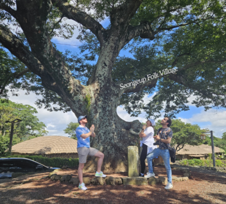 East Jeju half-day tour scenery